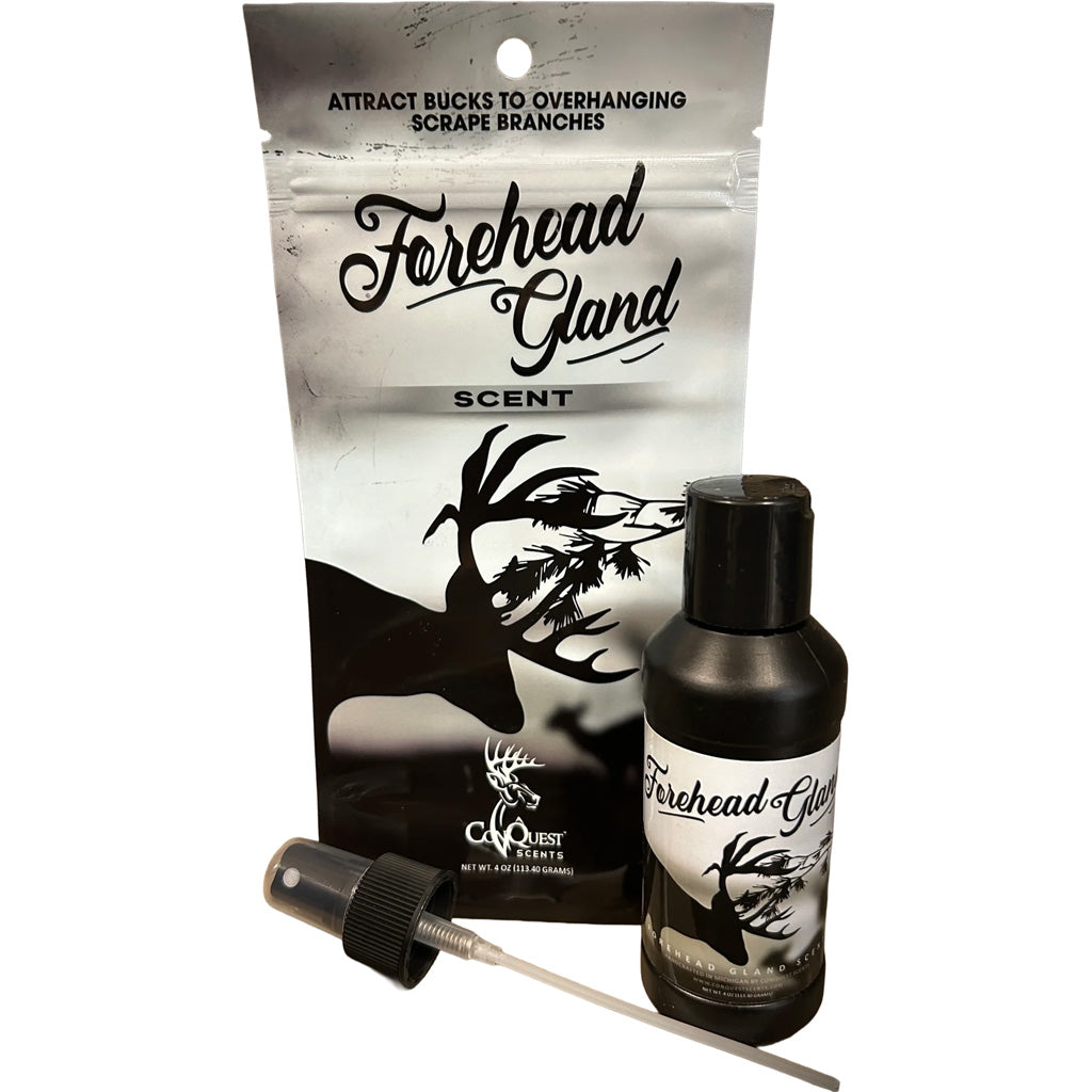 Conquest Forehead Gland Scent
