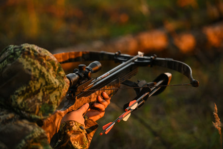 Hunter in camo shouldering a scoped crossbow with bolts in the quiver at golden hour