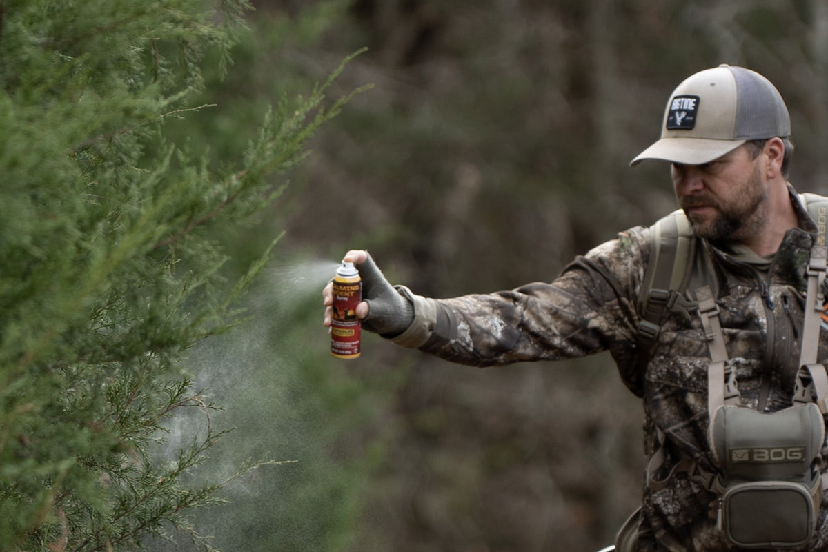 Hunter in camo spraying scent control spray onto cedar branches before a hunt