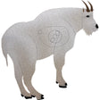 OnCore Archery Target