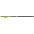 Bear X TrueX Crossbow Bolts