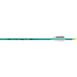 Easton Genesis Arrows