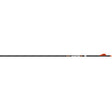 Easton 6.5 Hunter Classic Arrows