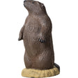 Rinehart Signature Groundhog Target