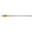Trophy Ridge Wrath Arrows