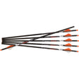 Ravin HD 500 gr. Arrows