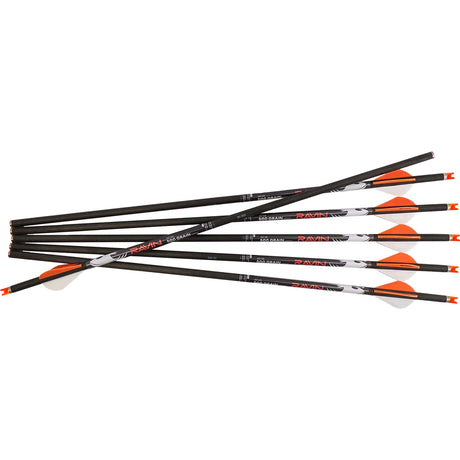 Ravin HD 500 gr. Arrows