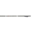 Carbon Express Predator AIR 6mm Arrows