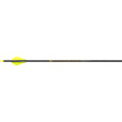 Victory VAP TKO Elite Arrows