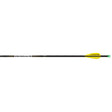 Easton X10 Parallel Pro Arrows