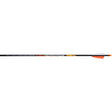 Black Eagle X Impact Arrows
