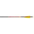 Black Eagle Outlaw Arrows