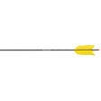 Carbon Express Flu Flu Arrow