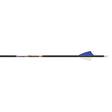 Easton Vector Arrows