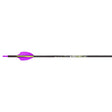 Victory VAP Junior Arrows