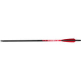Barnett Demun C10 Hyperbolts