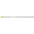 Victory RIP XV Elite Arrows