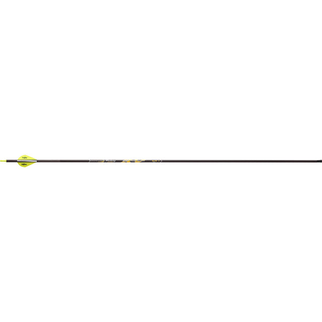 Victory RIP XV Elite Arrows