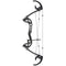 Bowfishing