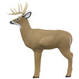 Shooter Big Buck Target