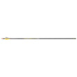 Victory VAP Elite Arrows