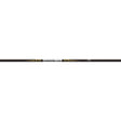 Easton X10 3.2mm Parallel Pro Shafts